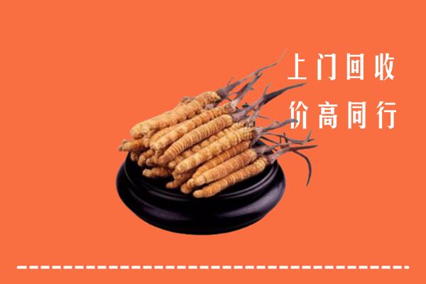 吉安市回收散虫草