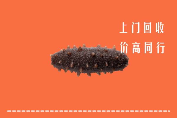 吉安市回收海参