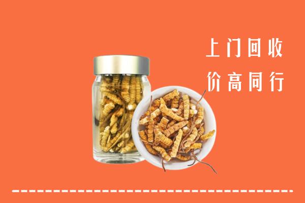 吉安市回收冬虫夏草