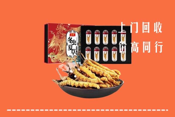 吉安市回收虫草